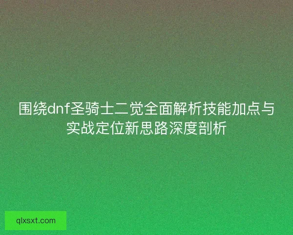 围绕dnf圣骑士二觉全面解析技能加点与实战定位新思路深度剖析